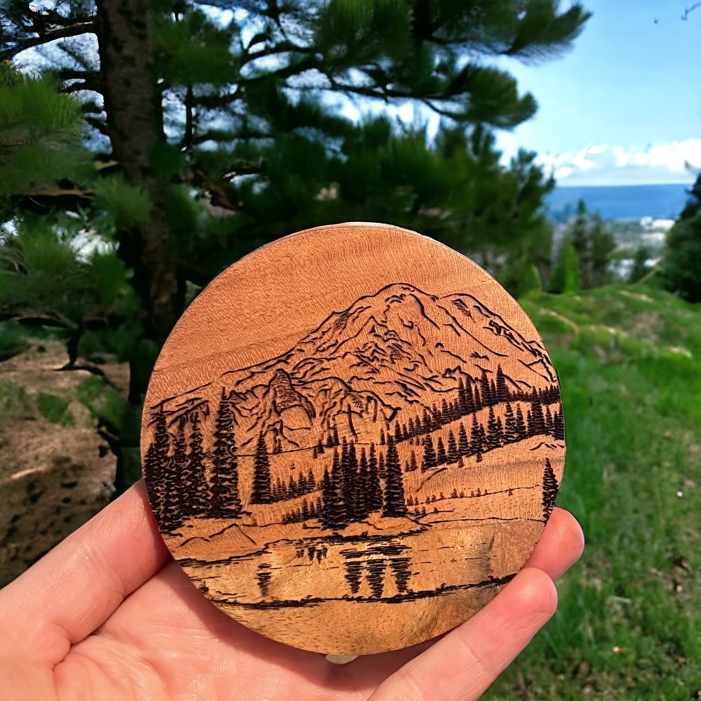 Mt. Rainier Coaster set