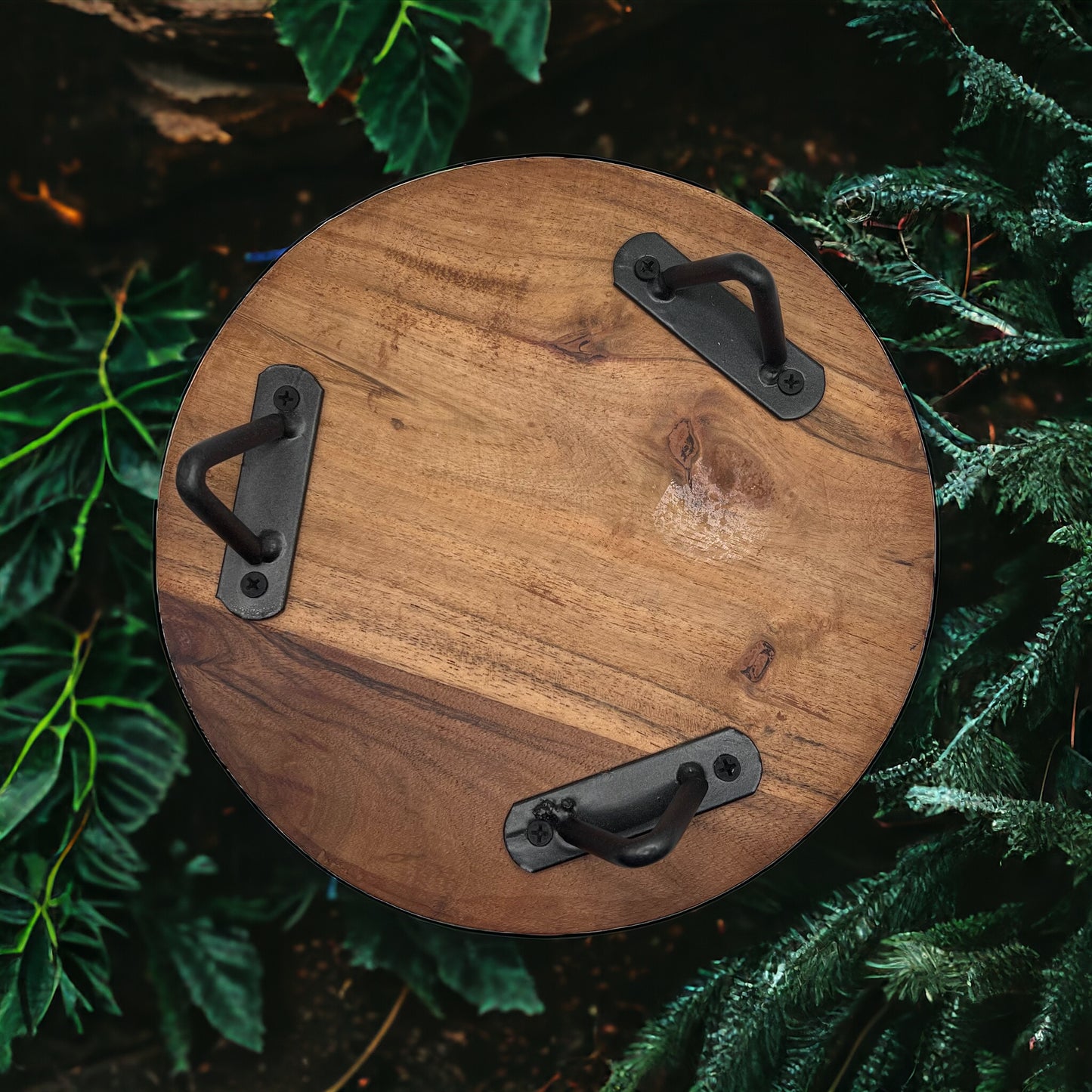 Paradise Valley Trivet