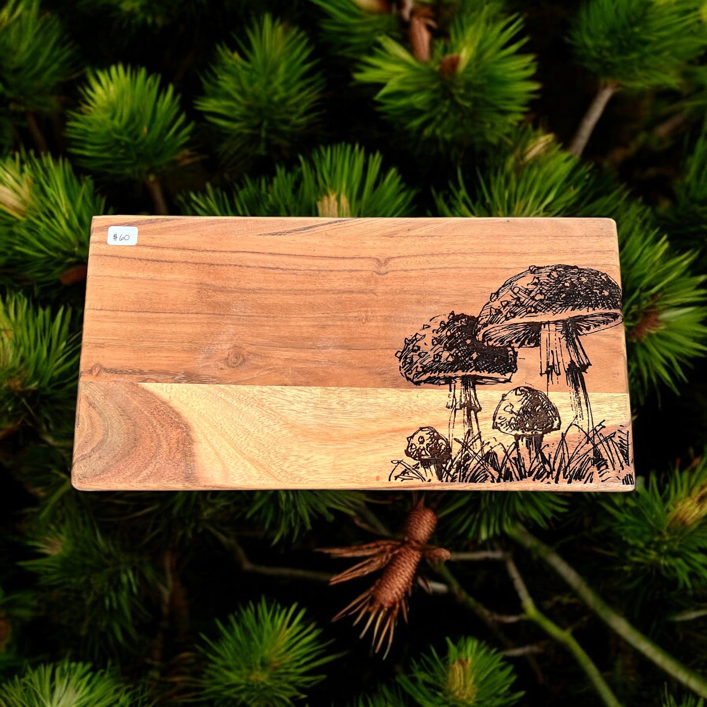 Mushroom Tray