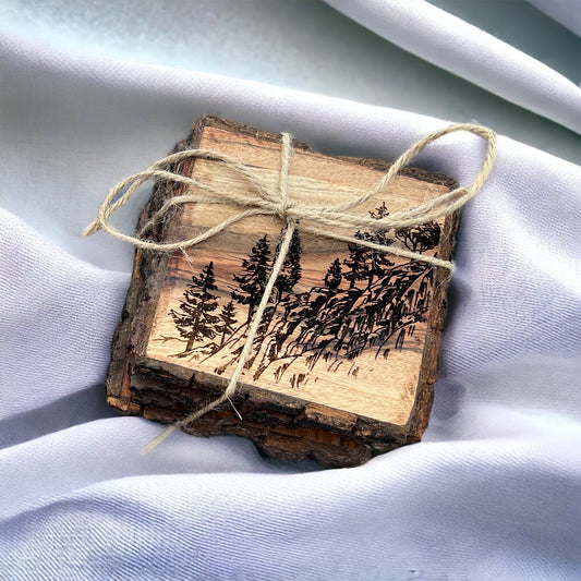 Live Edge Square Coasters